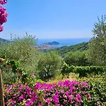 Onde E Ulivi *