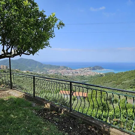 Onde E Ulivi *