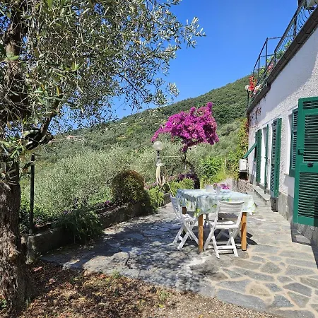 Onde E Ulivi Villa *