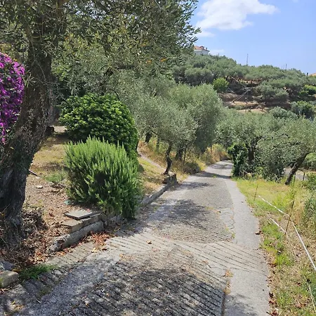 Onde E Ulivi San Bernardo (Genoa)