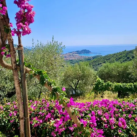 Onde E Ulivi Villa *