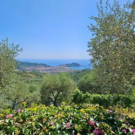 Villa Onde E Ulivi *