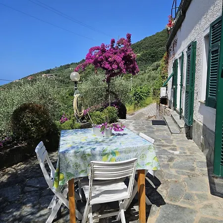 Вилла Onde E Ulivi