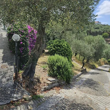 Onde E Ulivi San Bernardo (Genoa)