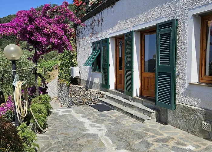 Onde E Ulivi * San Bernardo (Genoa)