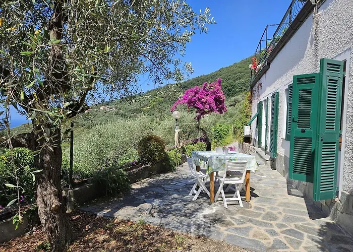 Onde E Ulivi Villa *