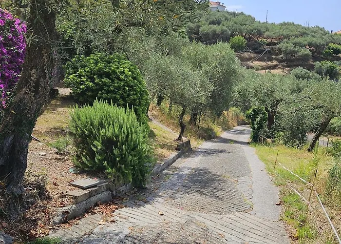 Onde E Ulivi San Bernardo (Genoa)