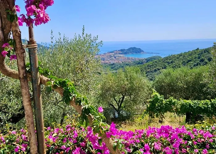 Onde E Ulivi Villa *