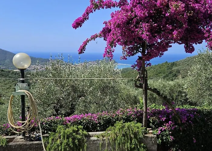 Onde E Ulivi * San Bernardo (Genoa)