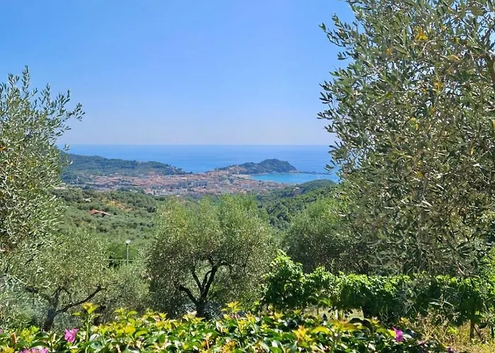 Villa Onde E Ulivi *