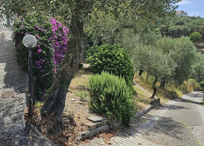 Onde E Ulivi San Bernardo (Genoa)